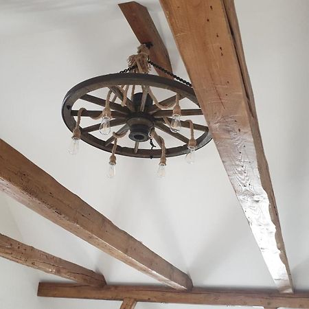 Seensucht & Urlaubstraeume, Ferienwohnung "Seeadler" Grossraschen Bagian luar foto
