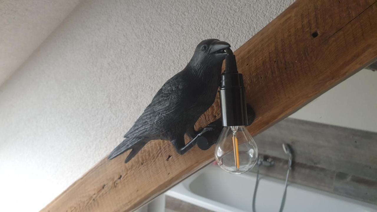 Seensucht & Urlaubstraeume, Ferienwohnung "Seeadler" Grossraschen Bagian luar foto